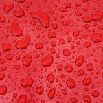 Water Beads - wax a car - AutoColor - Madison - Middleton- WI