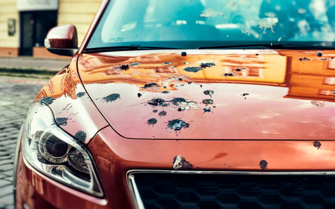 Protect Vehicles From Elements That Damage Your Paint Job